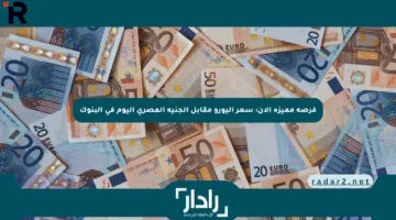 فرصة مميزة الآن: سعر اليورو مقابل الجنيه المصري اليوم في البنوك